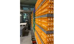 Damtech - Depalletizer