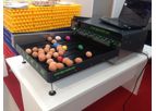 Damtech - Model DTG – 1800 - Egg Graders