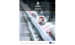 Converta Layers Cage Catalog