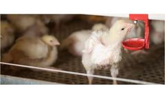 General - Model B12 - Broiler