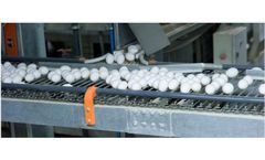 Ganal - Poultry Egg Conveyor