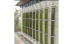 Fotosintetica - Model F&M-BCP - Bubble Column Photobioreactor