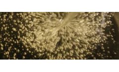 Checkerspot - Biomanufactured Algal Oil