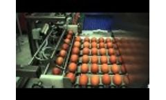 Riva Selegg S121 - Candler & Infeed Video