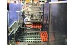 Riva Selegg Egg Grader - Auto Vacuum Loader Video