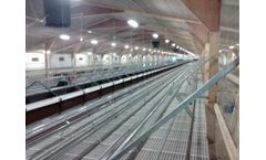 Eco Systerns - Poultry House Equipment