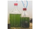Neoalgae - Spirulina Grow Kit