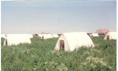 A-Frame Hog Hutch Farrowing