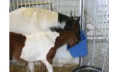 EZ-Hutch - High Back Feeder