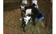 EZ-Hutch - 2 Ft. Hanging Feeder