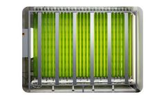 Jumbo - Industrial Photobioreactor System