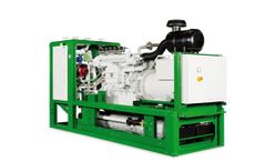 Patruus - Model 263kW - Power Plant