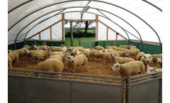 Cheviot - Model 9000 - High Welfare Sheep Housing