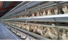 Salmet - Model S700 - Conventional Cage System
