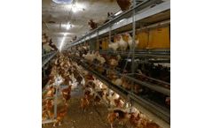Salmet - All-in-One Aviary System