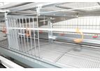 Salmet - Model PS2800 - Layer Breeder System