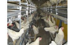Salmet - Combi Barn Aviary System
