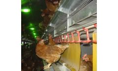 Salmet - High Rise 3 Aviary Systems