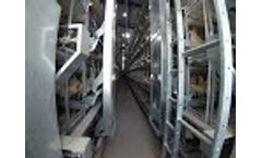 Avian Mechanics Pullet Rearing System Video