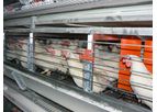 Enrichable - Model AV1250 and AV1500 - Enriched Cage Systems
