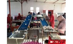 Genç - Egg Packing Systems