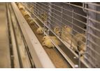 Ruby - Model S1000 - Poultry Rearing System