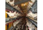 Salmet - Combi Barn Aviary System
