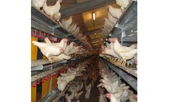 Salmet - Combi Barn Aviary System