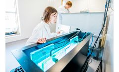 Xanthella - Consultancy Services