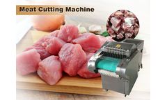 Taziy - Model TZ - Screw Press Juicer Machine