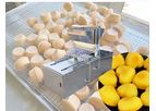 Taziy - Cake Depositor | Cupcake Batter Filling Machine