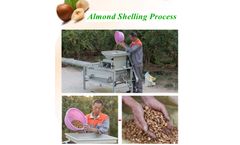 Taizy Machinery - Almond Shelling Machine