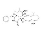 MedChemExpress - Model HY-16928 - Cytochalasin B