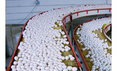 PMSI - Model ICCS - Intelligent Poultry Egg Conveyor Control System
