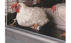PMSI - Automatic Bird Scales