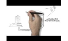 HY-TEK Bio - Algae as a profit center. - Video