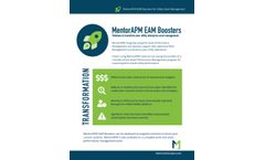 MentorAPM EAM Boosters for Utility Asset Management - Brochure