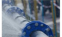 MentorAPM - Work Management Software