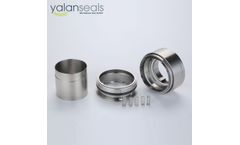 YALAN Seals - Model 171 - YALAN 171 Series Single and Double Mechanical Seals for Industrial Pumps