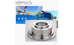 YALAN Seals - Model SBB - YALAN SBB Cartridge Mechanical Seal for Dredgers (the Biggest Dredger Ship in Asia, Tian Kun Hao)