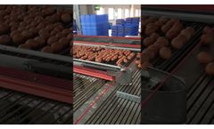 FLEXY - Egg accumulator table