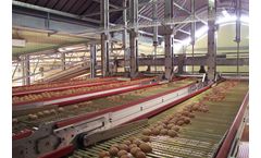 Flexy - EGG WAY - Egg Conveyor