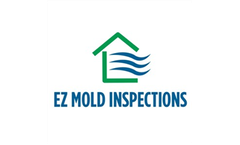 Mold Testing
