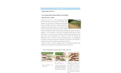 Neoecogen - Model Vita y - Soil Microorganism Nutrient Promoter - Brochure