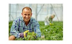 Humidification and evaporative cooling solutions for agricultural humidification systems sector