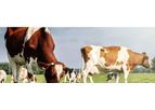 AMTS - Feedbank Manager Software (FBM)