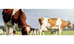 AMTS - Feedbank Manager Software (FBM)