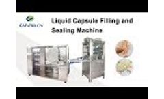 Liquid Capsule Filling and Sealing Machine NJP-260 Video