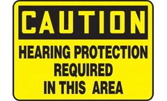 Hearing Protection PPE: Beyond the Basics