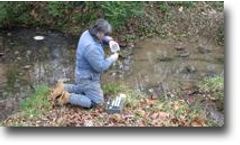 Surface Waters Environmental Services